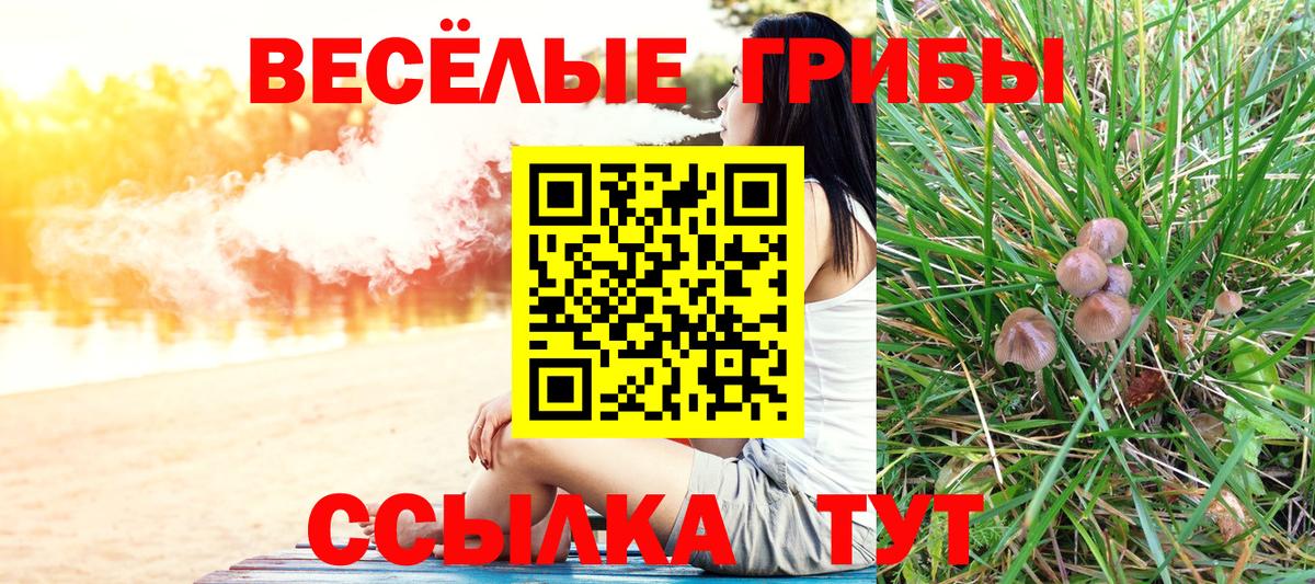 Галлюциногенные грибы мицелий Красноярск